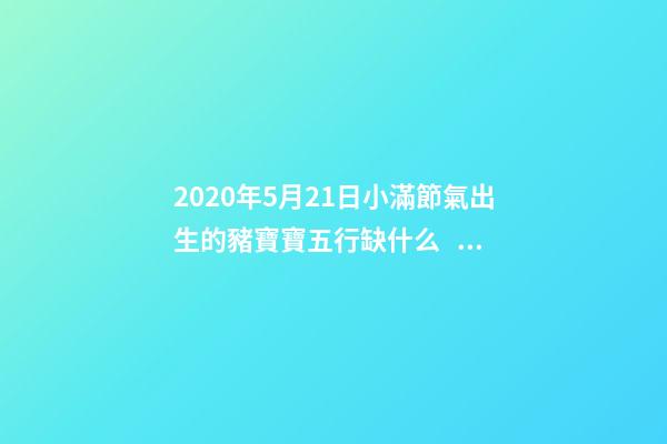 2020年5月21日小滿節氣出生的豬寶寶五行缺什么？怎么化解？ 84年5月21日五行屬什么，1984年屬鼠的五行屬什么